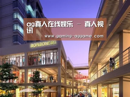 案例展示一