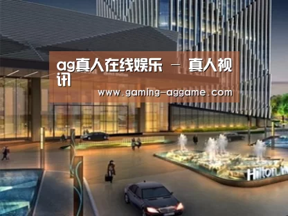 案例展示二