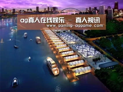 案例展示八