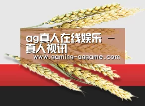 ag真人在线娱乐 - 真人视讯