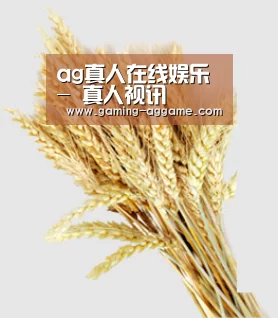 ag真人在线娱乐 - 真人视讯
