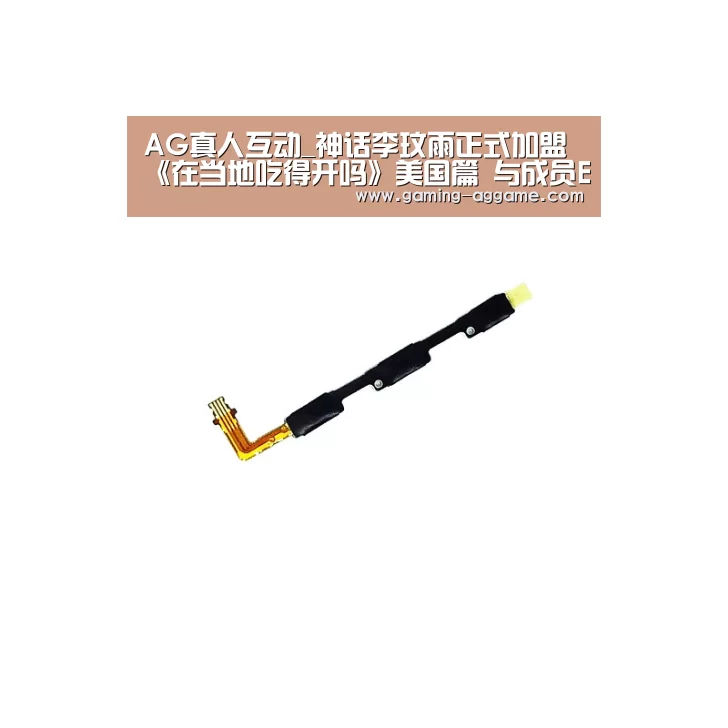 AG真人互动_神话李玟雨正式加盟《在当地吃得开吗》美国篇 与成员ERIC汇合(图3) AG官方网站