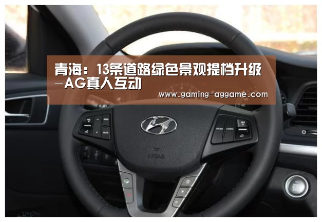 青海:13条道路绿色景观提档升级-AG真人互动(图1) AG真人娱乐
