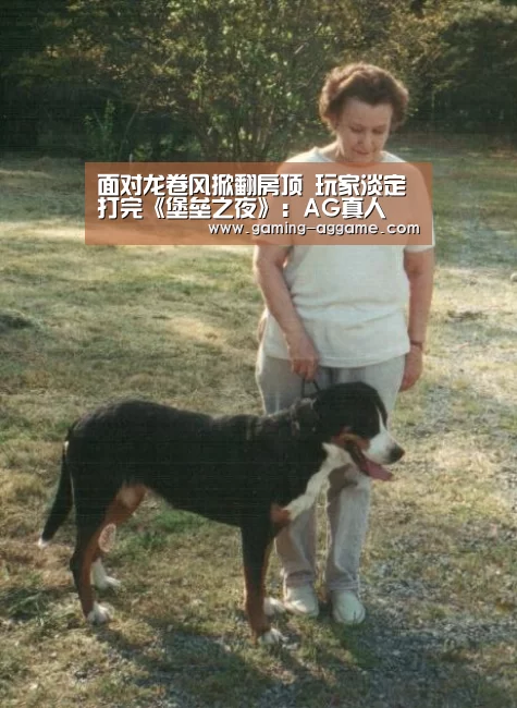 面对龙卷风掀翻房顶 玩家淡定打完《堡垒之夜》:AG真人(图1) AG真人互动