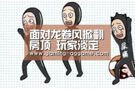 面对龙卷风掀翻房顶 玩家淡定打完《堡垒之夜》:AG真人(图4) AG官方网站