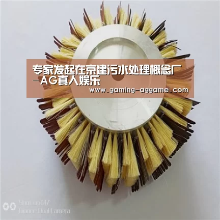 专家发起在京建污水处理概念厂-AG真人娱乐(图2) AG真人互动