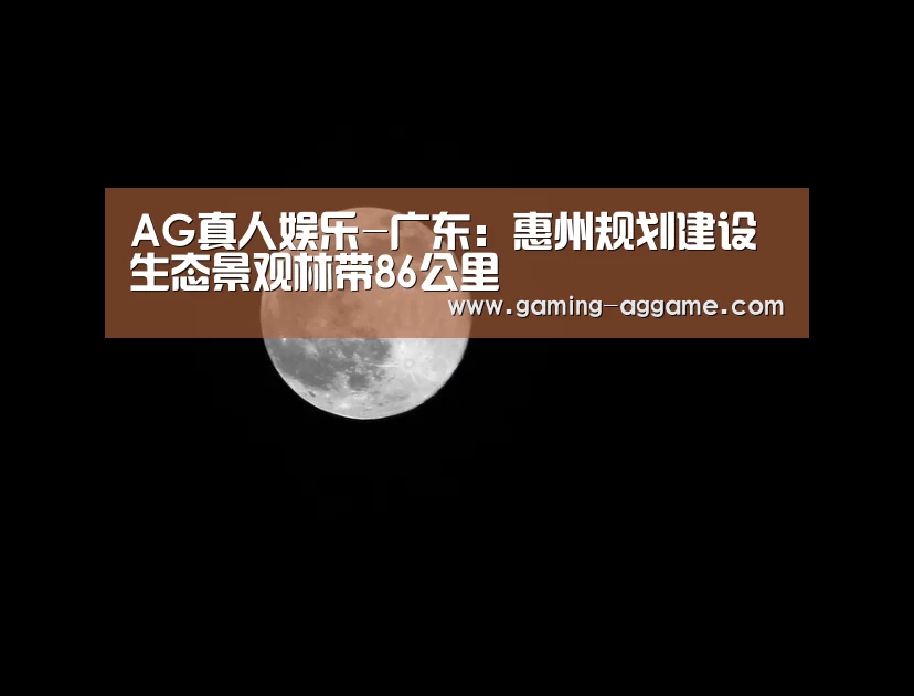 AG真人娱乐